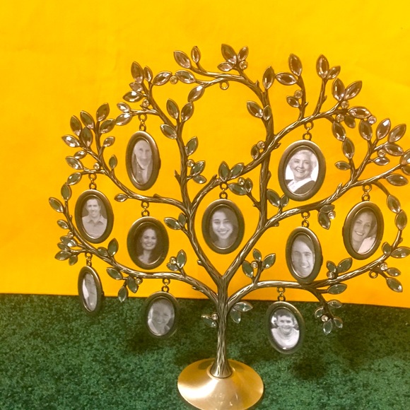 Family Tree, like New! - Picture 1 of 2